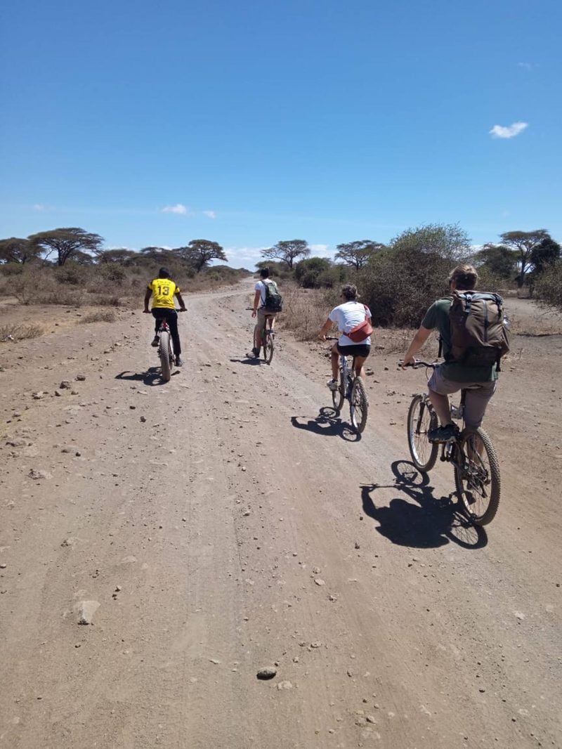 Kilimanjaro Day Hike